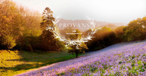 Студия свадебных стилистов PROVANS