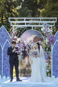 Wedding VE_335